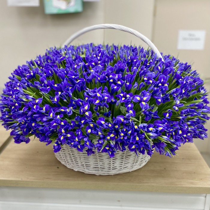 1001 синий ирис в корзине