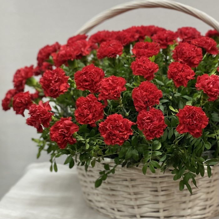 100 красных гвоздик в корзине