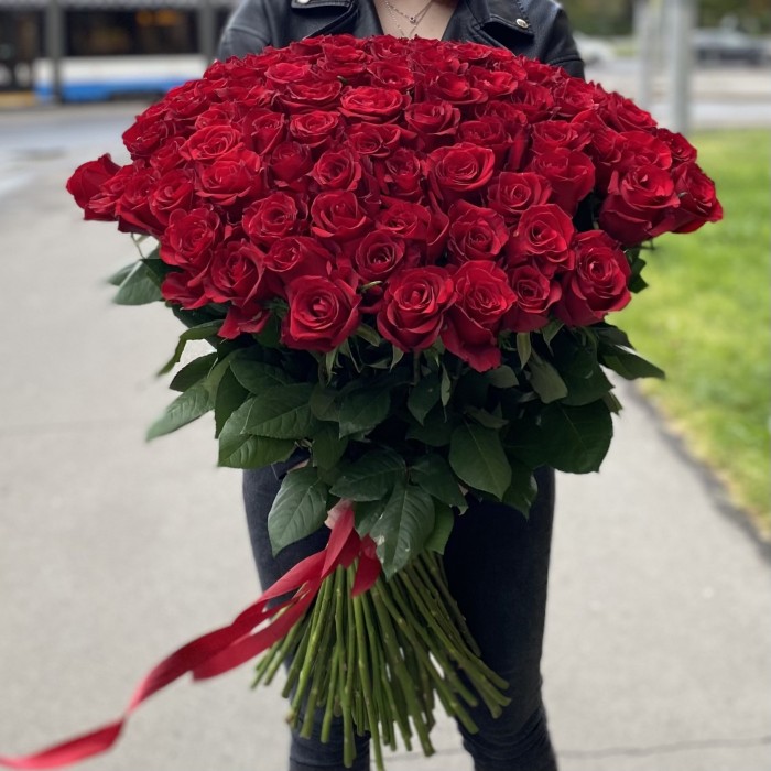 101 красная роза  Эвер ред 80 см
