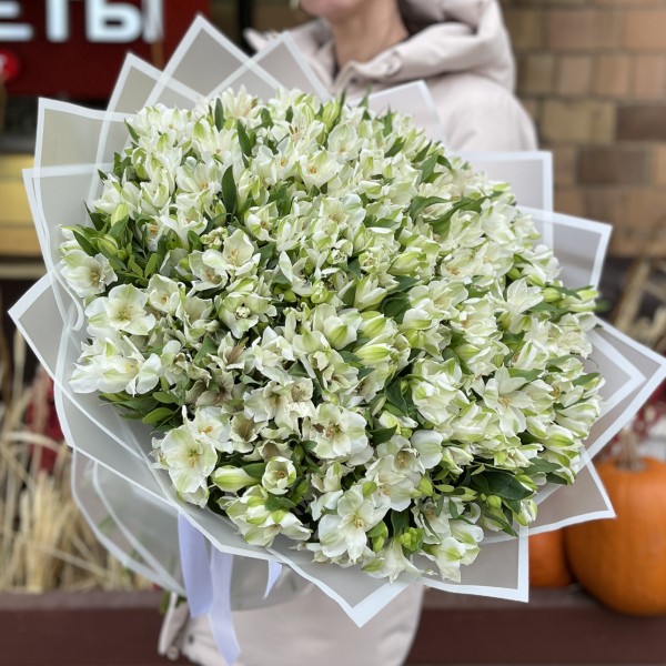 101 белая альстромерия