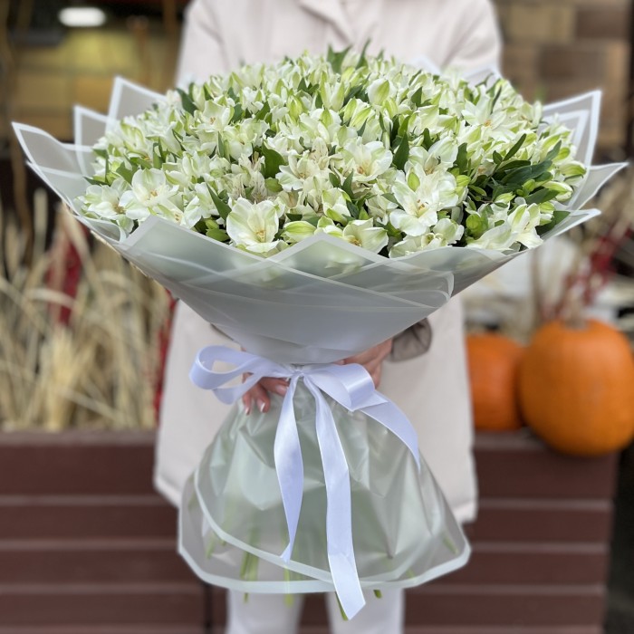 101 белая альстромерия