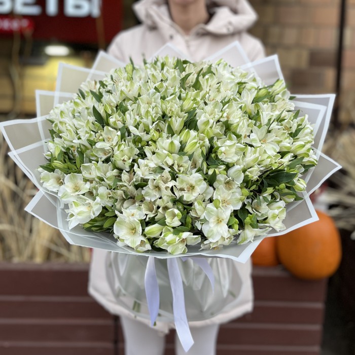 101 белая альстромерия