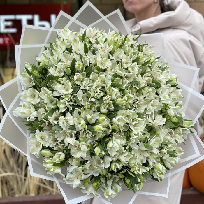 101 белая альстромерия