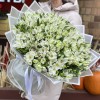 101 белая альстромерия