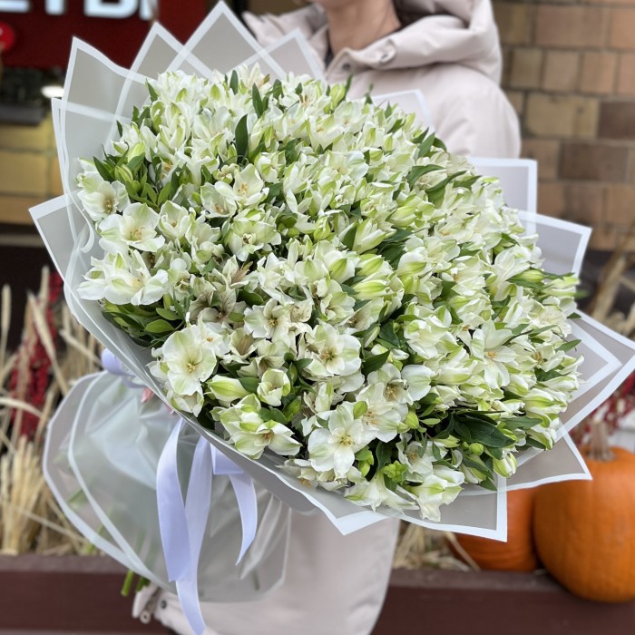 101 белая альстромерия