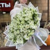 101 белая альстромерия