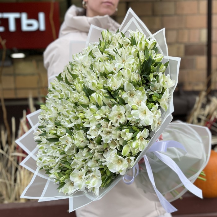 101 белая альстромерия