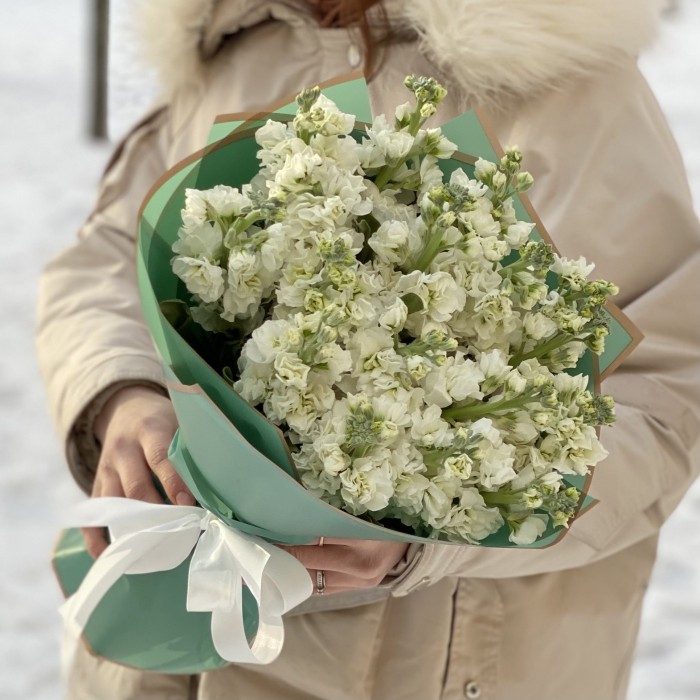 17 ароматных белых маттиол