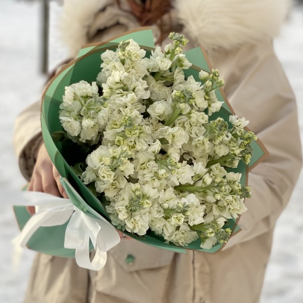 17 ароматных белых маттиол