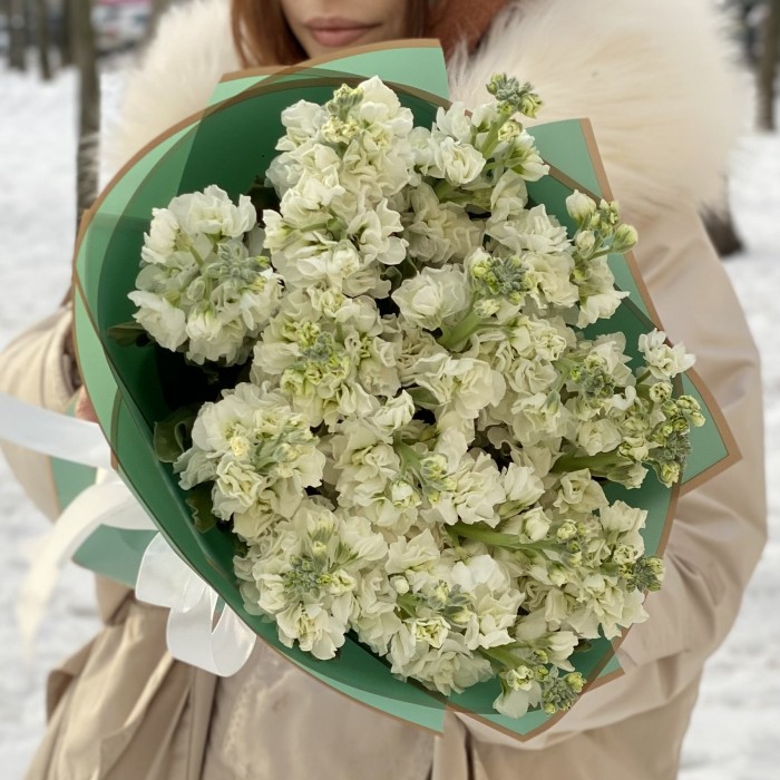 17 ароматных белых маттиол