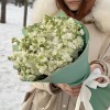 17 ароматных белых маттиол