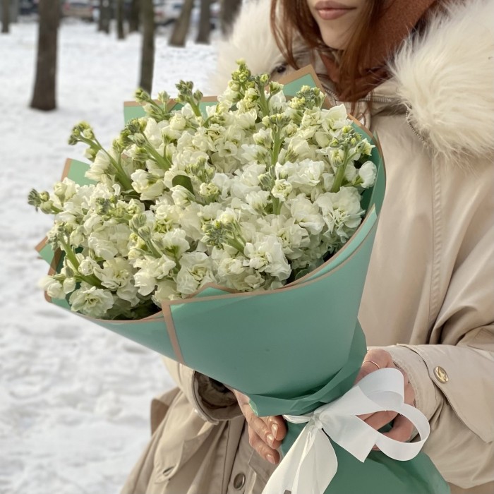 17 ароматных белых маттиол