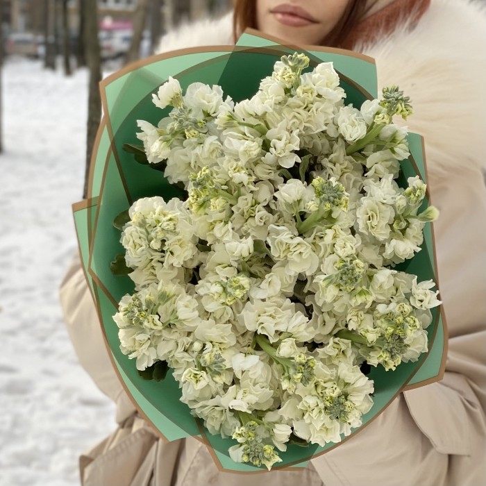 17 ароматных белых маттиол