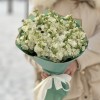 17 ароматных белых маттиол
