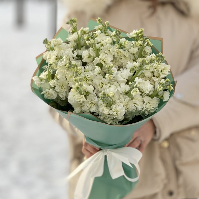 17 ароматных белых маттиол