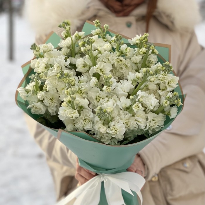 17 ароматных белых маттиол