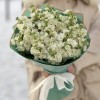 17 ароматных белых маттиол