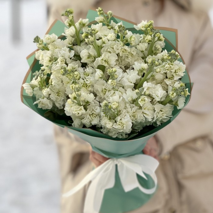 17 ароматных белых маттиол