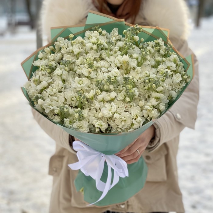 51 ароматная белая маттиола