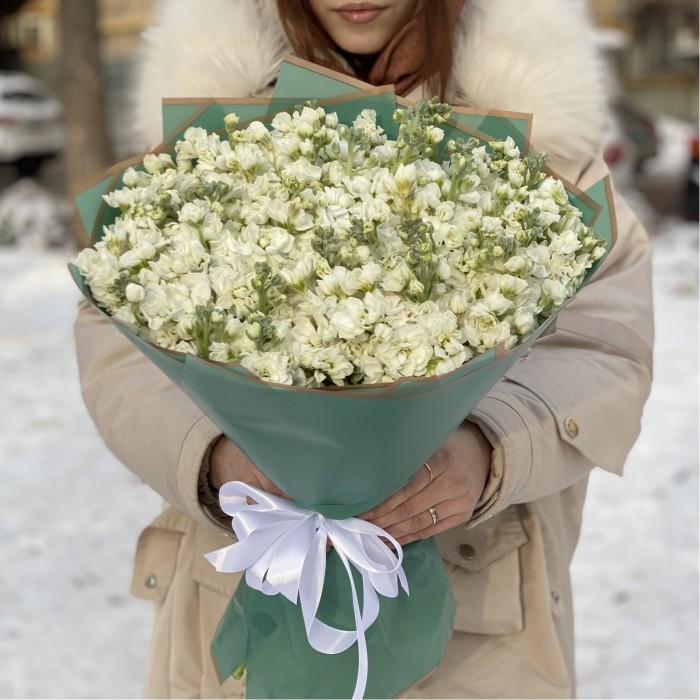 51 ароматная белая маттиола