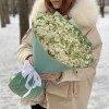 51 ароматная белая маттиола