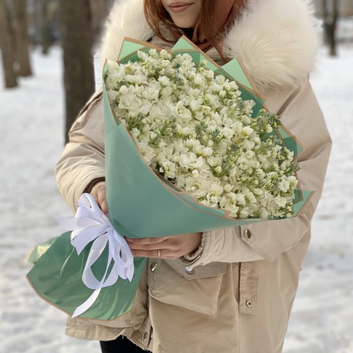 51 ароматная белая маттиола