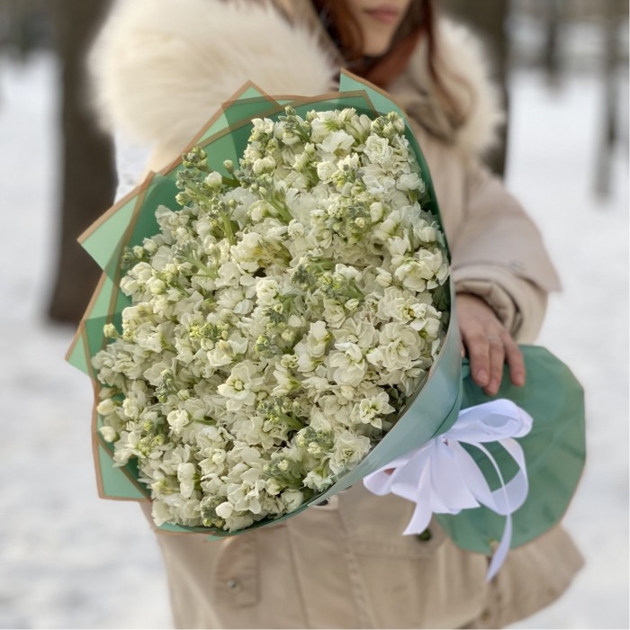 51 ароматная белая маттиола