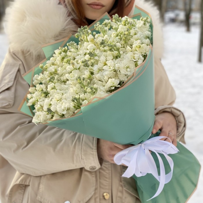 51 ароматная белая маттиола