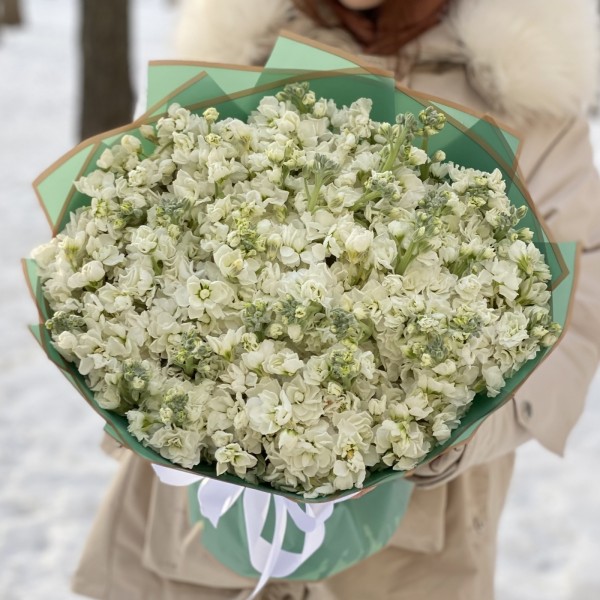 51 ароматная белая маттиола