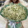 101 ароматная белая маттиола