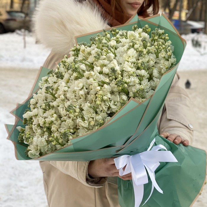 101 ароматная белая маттиола