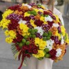 101 кустовая хризантема Яркий Mix