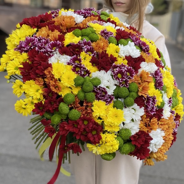 101 кустовая хризантема Яркий Mix