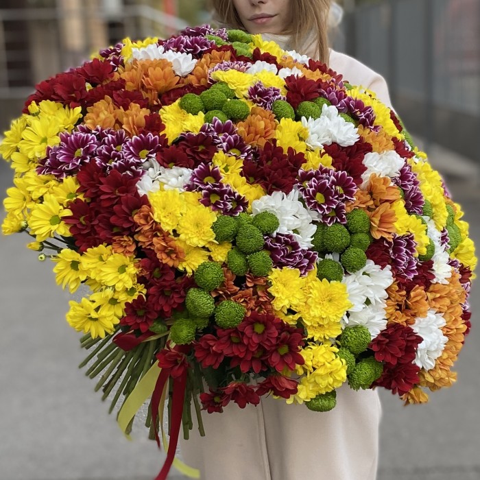 101 кустовая хризантема Яркий Mix