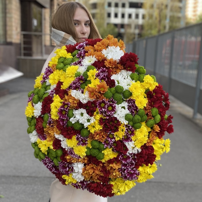 101 кустовая хризантема Яркий Mix