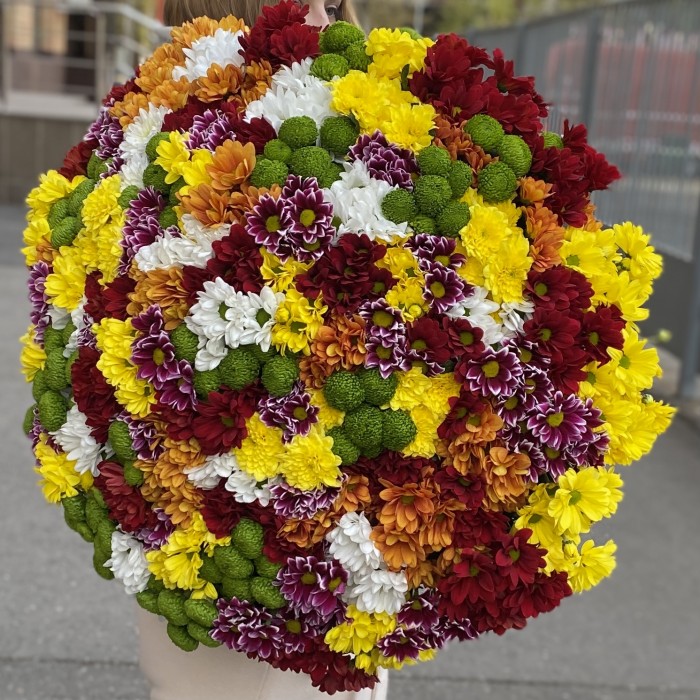 101 кустовая хризантема Яркий Mix