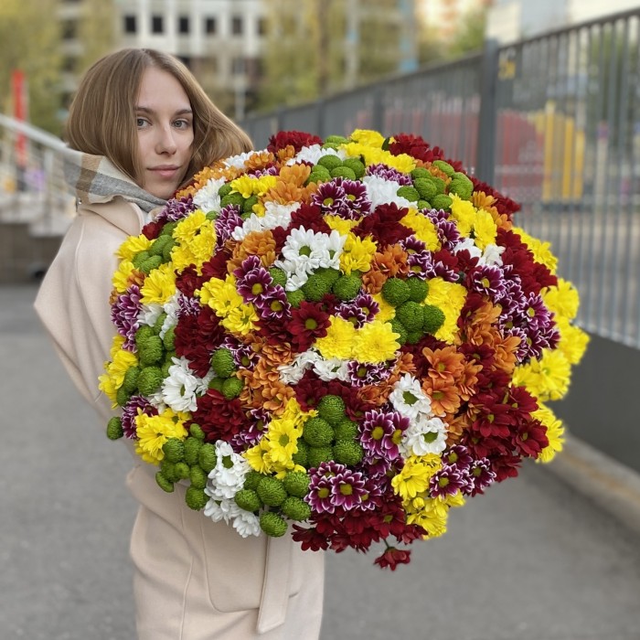 101 кустовая хризантема Яркий Mix