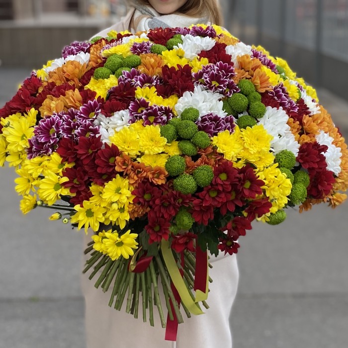 101 кустовая хризантема Яркий Mix