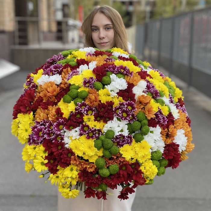101 кустовая хризантема Яркий Mix