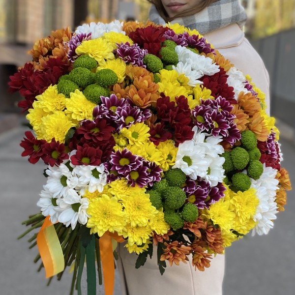 51 кустовая хризантема Яркий Mix