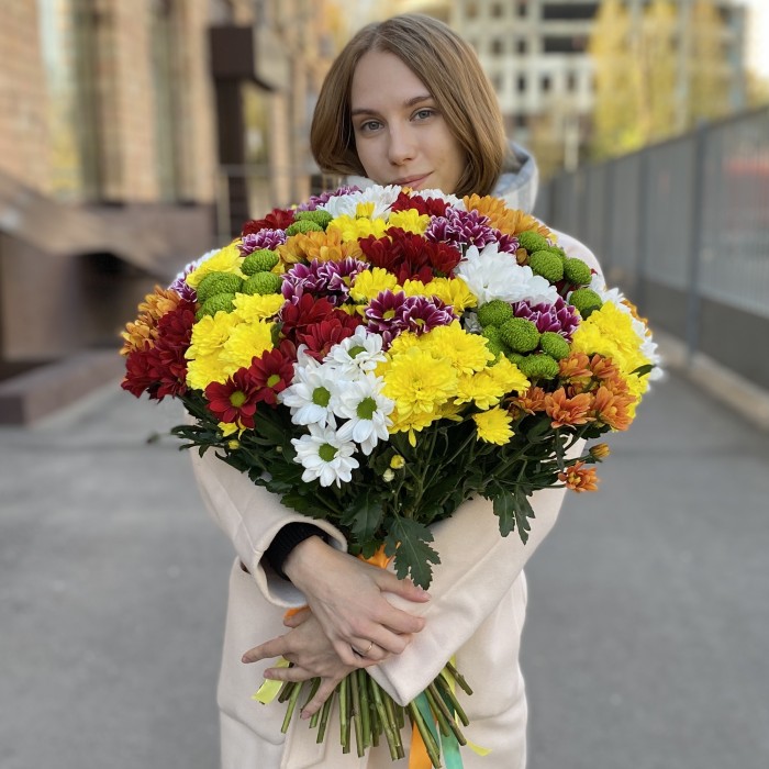 51 кустовая хризантема Яркий Mix