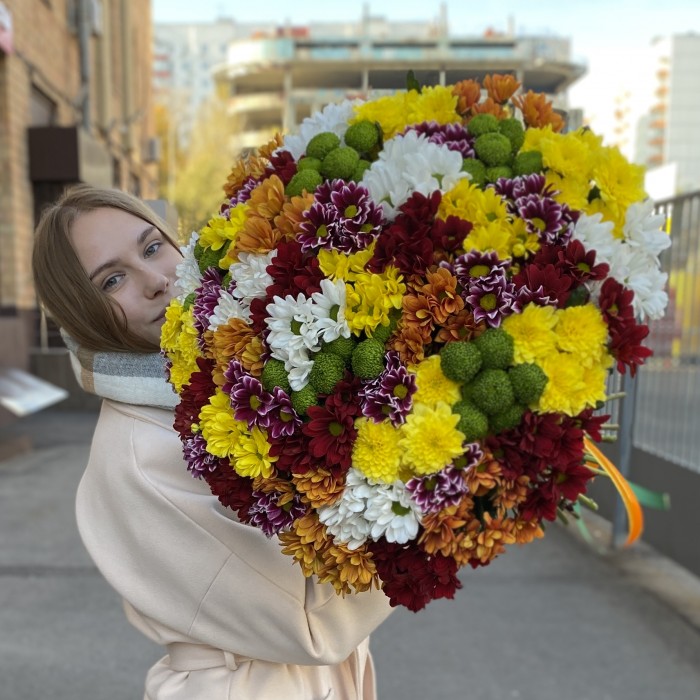 51 кустовая хризантема Яркий Mix