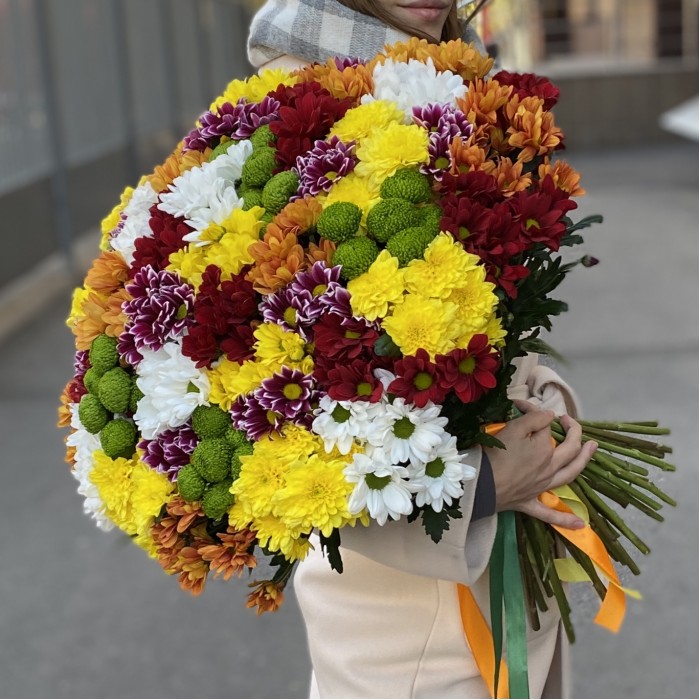 51 кустовая хризантема Яркий Mix