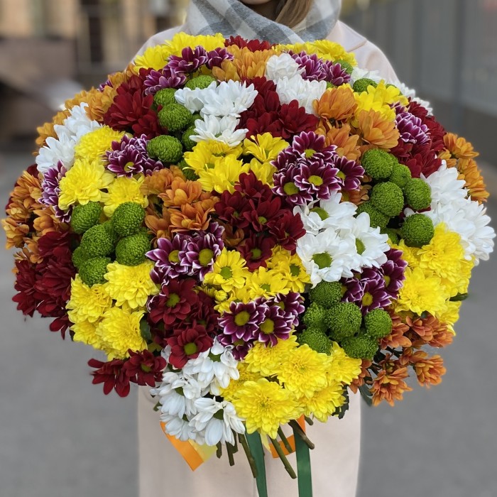 51 кустовая хризантема Яркий Mix
