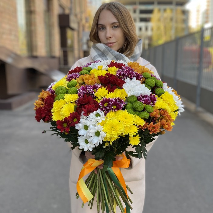 51 кустовая хризантема Яркий Mix