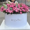 101 кустовая пионовидная роза Леди Бомбастик в коробке с эвкалиптом