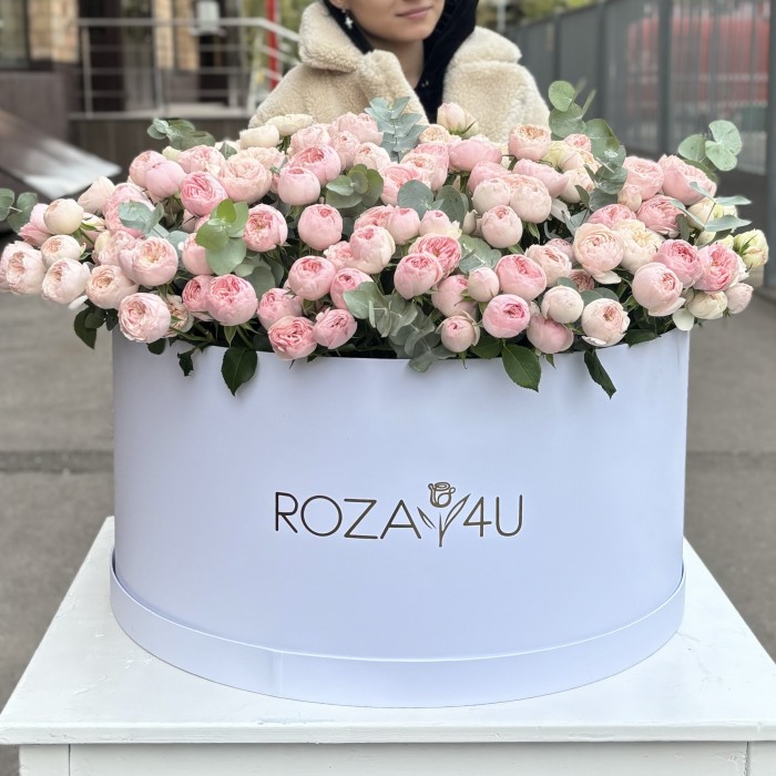 101 кустовая пионовидная роза Мансфилд Парк в коробке с эвкалиптом