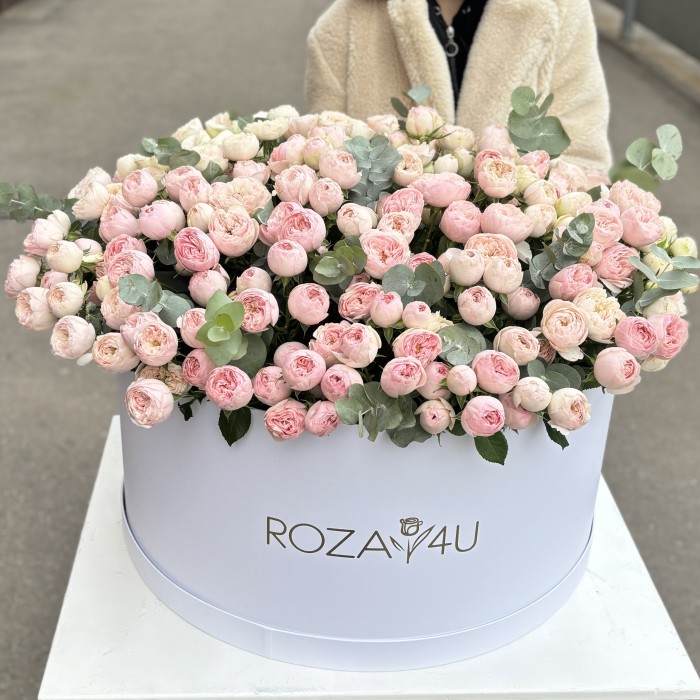 101 кустовая пионовидная роза Мансфилд Парк в коробке с эвкалиптом