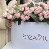 101 кустовая пионовидная роза Мансфилд Парк в коробке с эвкалиптом