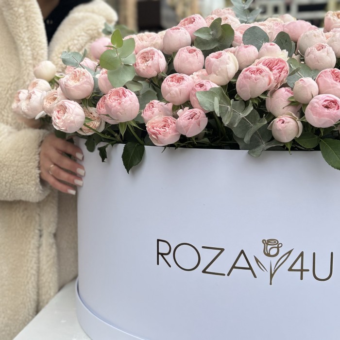 101 кустовая пионовидная роза Мансфилд Парк в коробке с эвкалиптом